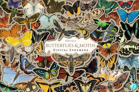 Download Vintage Butterflies and Moths Ephemera - Vintage Collection