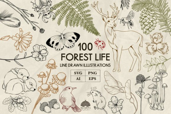 Download Forest Animals and Plants Line Art Svg - Premium Bundle